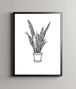 Minimalistyczna Roślina